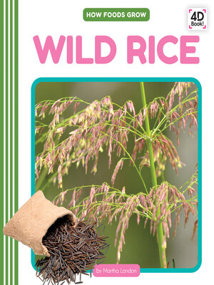 cover image of Wild Rice